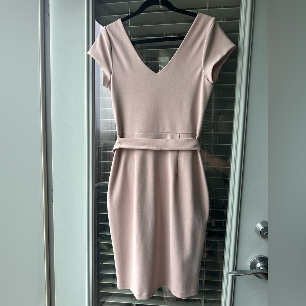 Express Belted Button Front Pink Sheath Dress - Picture 6 of 9